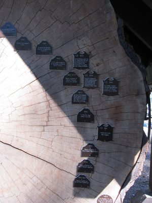 Close-up of the date markers.