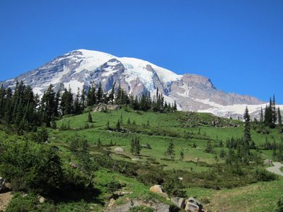 Looking at Rainier across some alpine meadows.  It was...