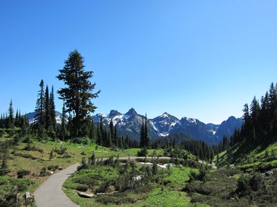 Do not assume that Rainier was all there was to see on...