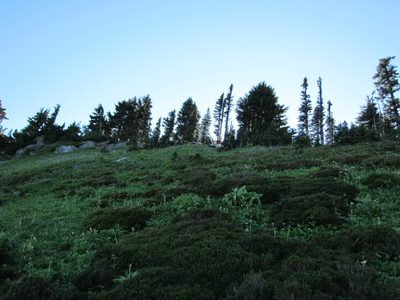 Where's Waldo, Skyline Trail edition.