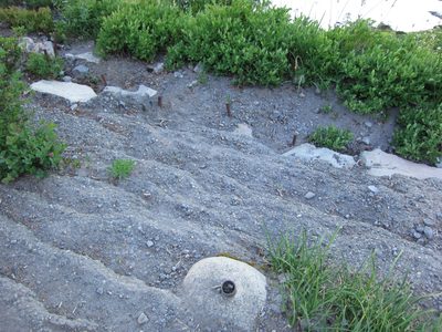 This path had rebar sticking out of the ground, and what...