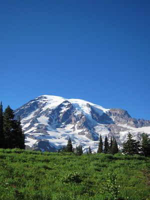 Another shot of a meadow and Mt. Rainier.