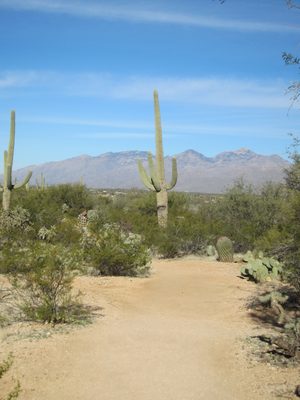 As I said somewhere along this trail - if I took a...