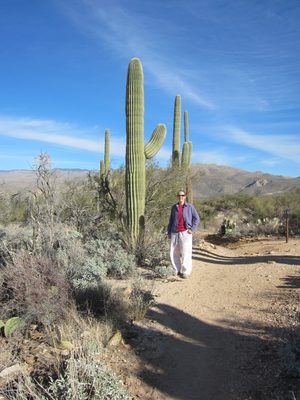 From further back.  Look how fat that cactus is!