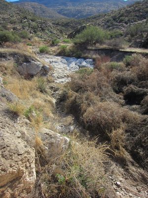 Upstream of the dam... nothing much going on. 