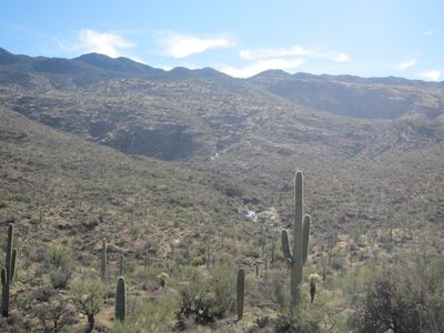 More water visible in the Rincons.