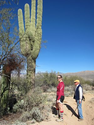 This saguaro was particularly lumpy, presumably from a...