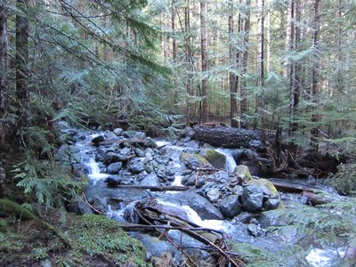 Not sure if this is the Upper Big Creek or not.