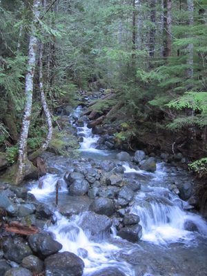 Flowing water.
