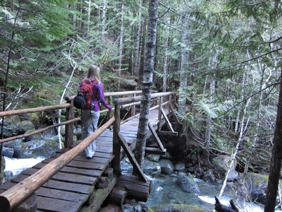 Another bridge!  The first half of this trail had a ton...