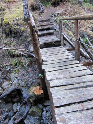 This bridge had a troll living under it.  