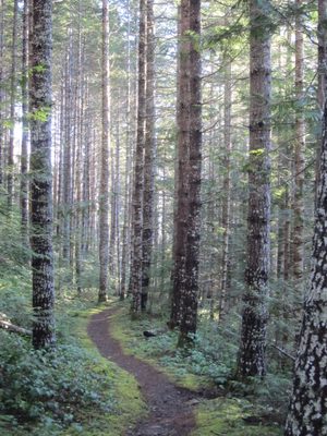 This hike had many entries for my "Pathways" collection.