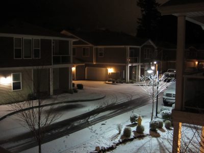 Saturday night, the snow started falling in Olympia. ...