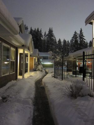 They did snow-blow the walkways.  When I asked if they...