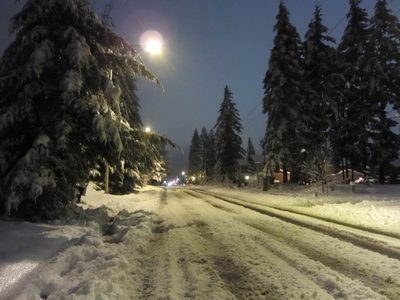 Thursday morning, I walked down Trosper Rd to catch the...
