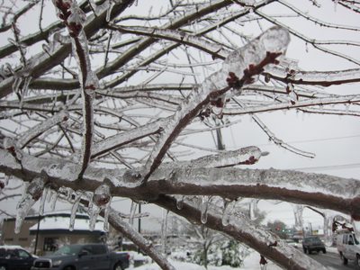 Like the bridge rail -- everything was coated in ice.