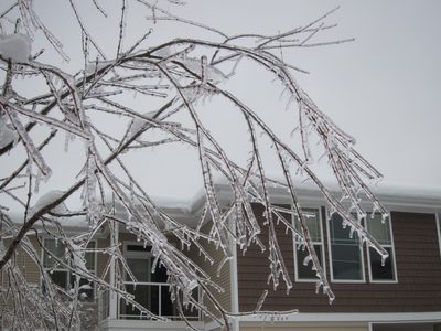 More icy branches.  I really love how this looks, if not...
