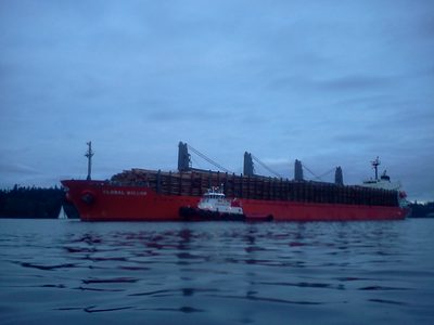 The boat is currently unloading those logs in Kure,...