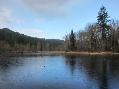 The beaver pond.  Note that while there is still blue in...