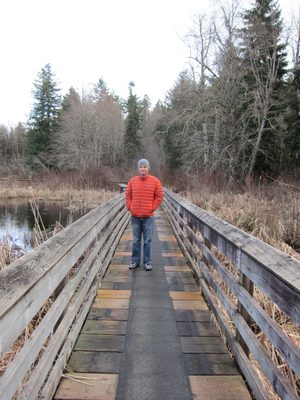 Jay on a bridge overlooking the beaver pond.  No signs...