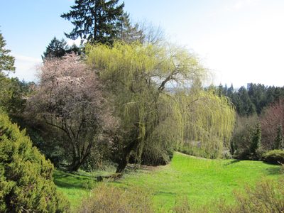 The idea that spring was springing was in the air.  We...