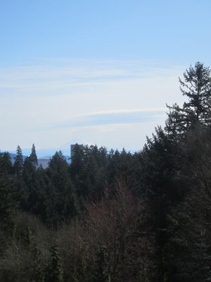 If you squint, you can see Mt. Hood.
