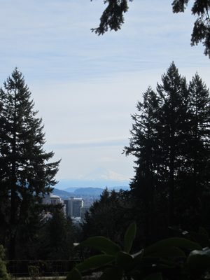 Another attempt to show Mt. Hood.