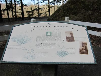 The tunnel was apparently located near the Oneonta Gorge.