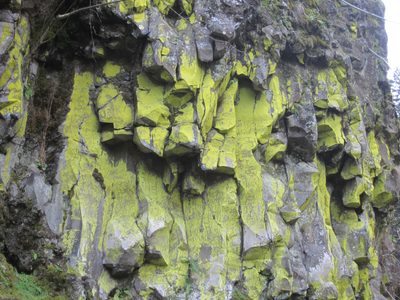 Cool green moss / lichen covered the rocks.