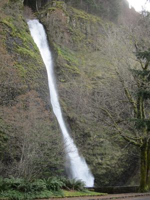 Horsetail Falls!