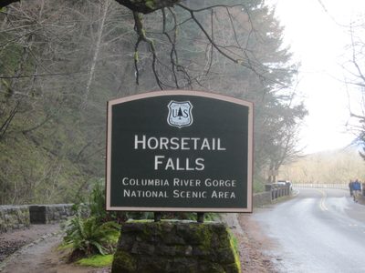 I liked these state park signs.