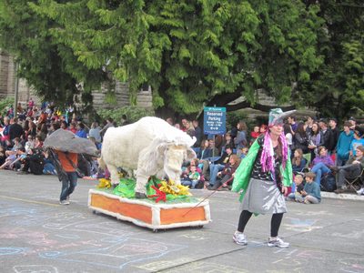 This buffalo was very well done.