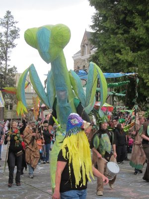 Praying mantis.  Apparently some of the bigger, airier...