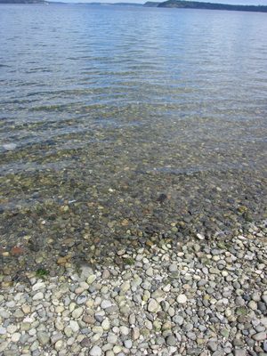 Lots of rocks.
