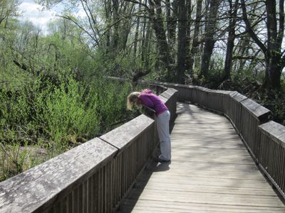 Diana looks for water creatures.