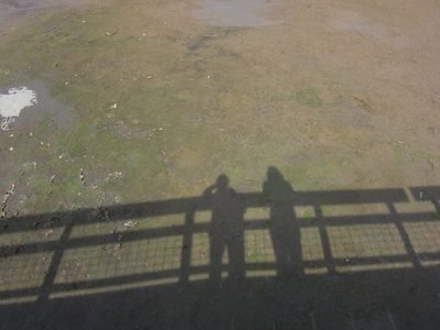 Shadows!