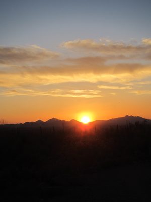 It was quite a nice evening.