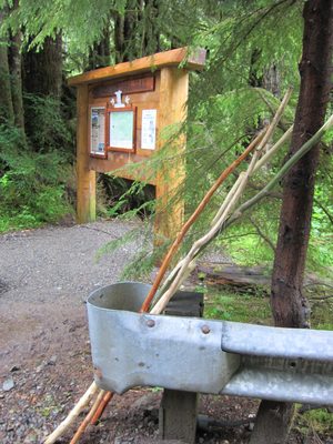 Near the parking lot was a pile of walking sticks to...