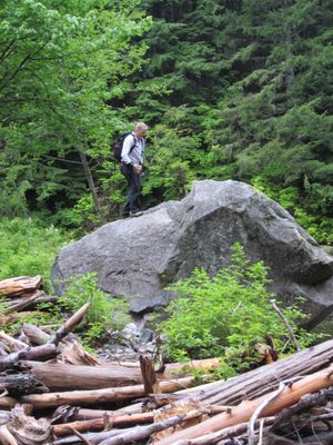 Hey look, there's a big rock; guess who tried to go climb it.