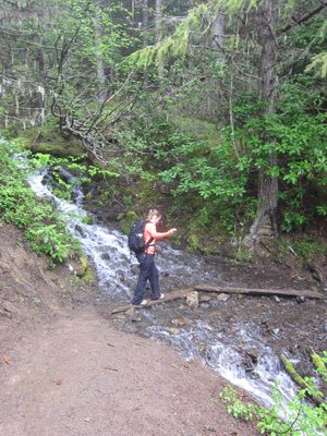 Stepping carefully across a stream.
