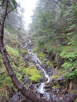 Pretty waterfall.