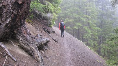 Eventually, we shed layers because the trail was fairly steep.