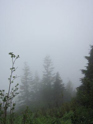 Now, about views... we did not have those.