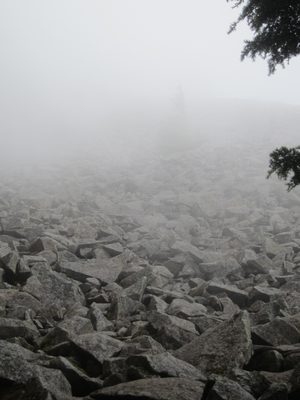 I think the rock fields would have been even cooler if...
