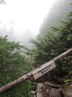 Signs at the bottom indicated that many parties got lost...