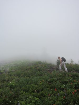 Diana hikes through an even more open area, with more flowers.