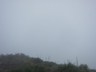 Our view, to the east.