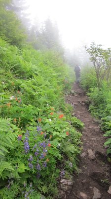 Wandering off into the cloud.