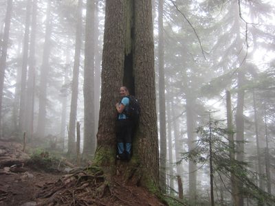 Catherine tries to climb into a tree.
