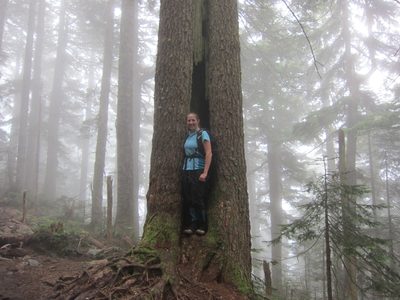 This hike's newest piece of gear - the blue gaiters. ...